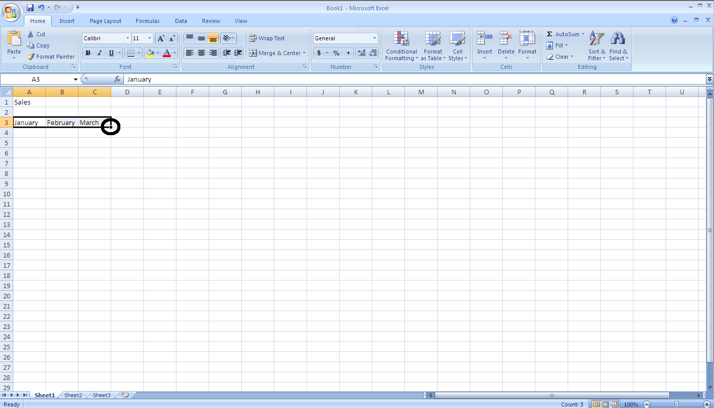 CPSC203 Template Spreadsheet Image 6.png