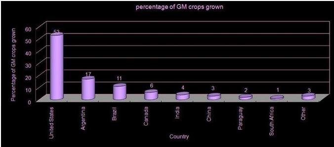 Percentage of GM crops grown graph.jpg