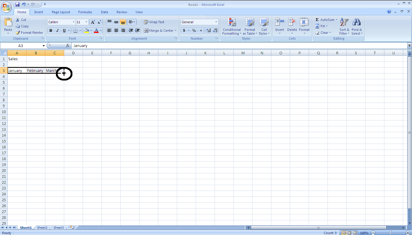 CPSC203 Template Spreadsheet Image 7.png