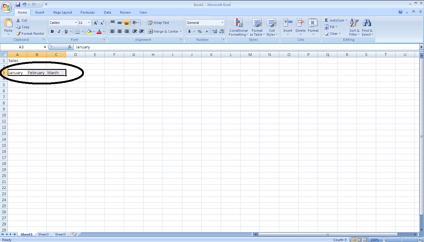 CPSC203 Template Spreadsheet Image 5.png