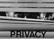 Privacy.JPG